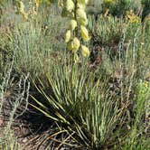 Review photo of Chalk Creek Canyon by Steve & Ashley  G., September 2, 2019