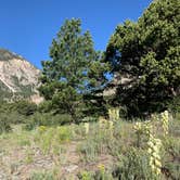 Review photo of Chalk Creek Canyon by Steve & Ashley  G., September 2, 2019