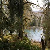 Review photo of Hoh Rain Forest - Olympic National Park by Shaun W., August 3, 2017