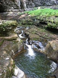 Camper submitted image from Watkins Glen State Park Campground - 3