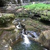 Review photo of Watkins Glen State Park Campground by Amanda H., June 28, 2016
