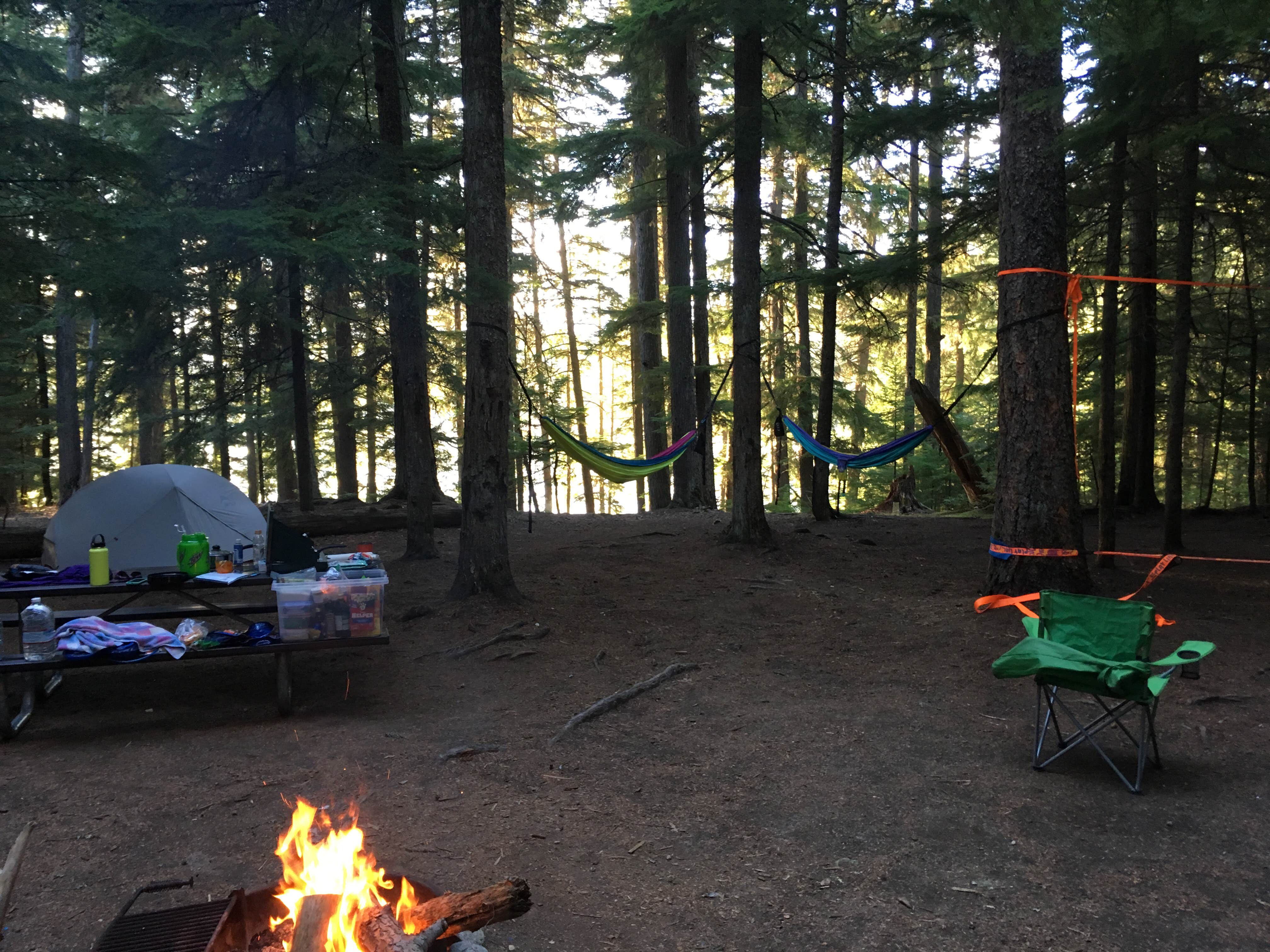 Shaun W.'s photo at Dickensheet Campground — Priest Lake State Park in Idaho