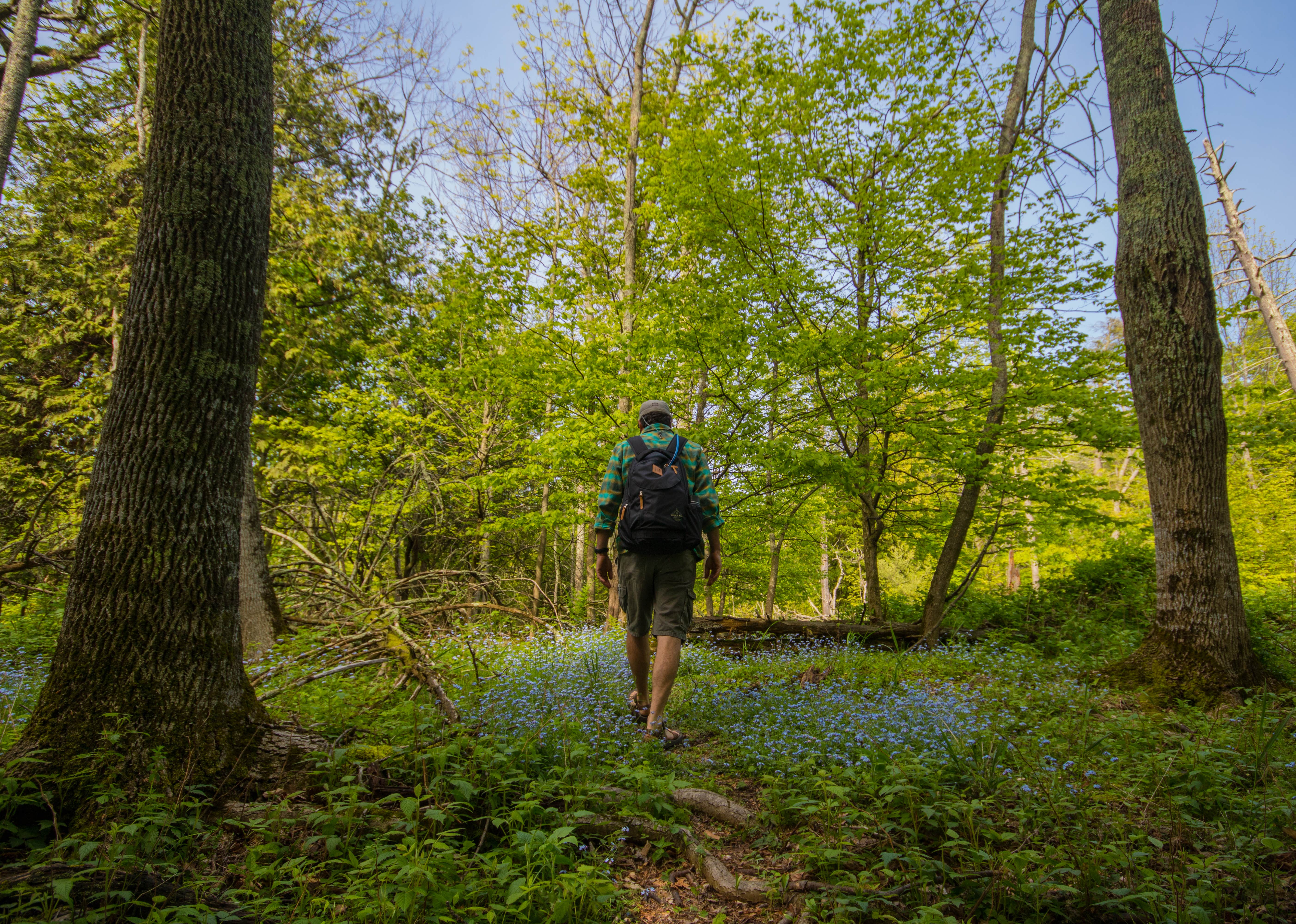 Camper submitted image from Leelanau State Park Campground - 5
