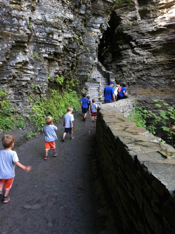 Camper submitted image from Watkins Glen State Park Campground - 4