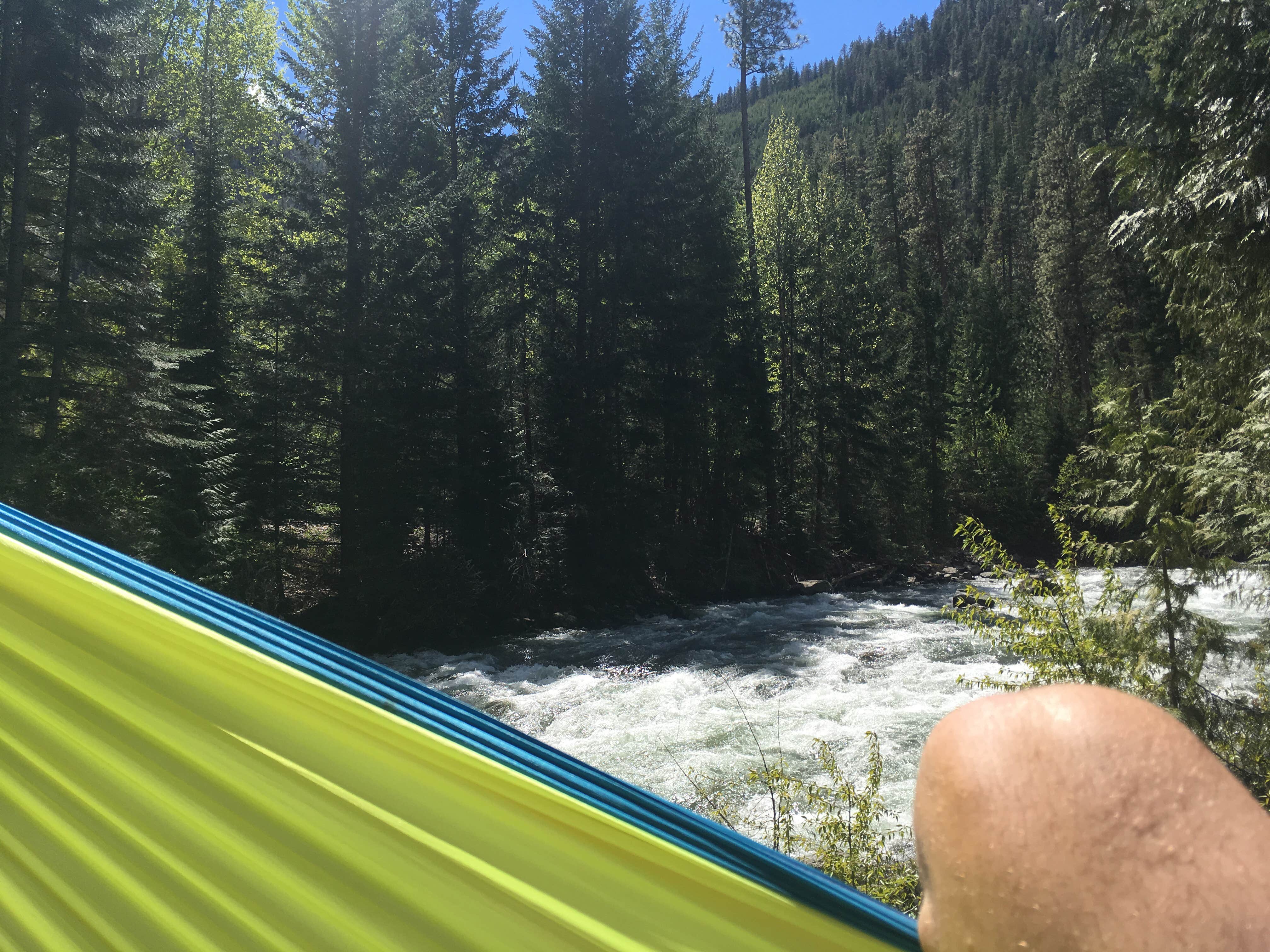 Camper submitted image from Fox Creek Campground - 5
