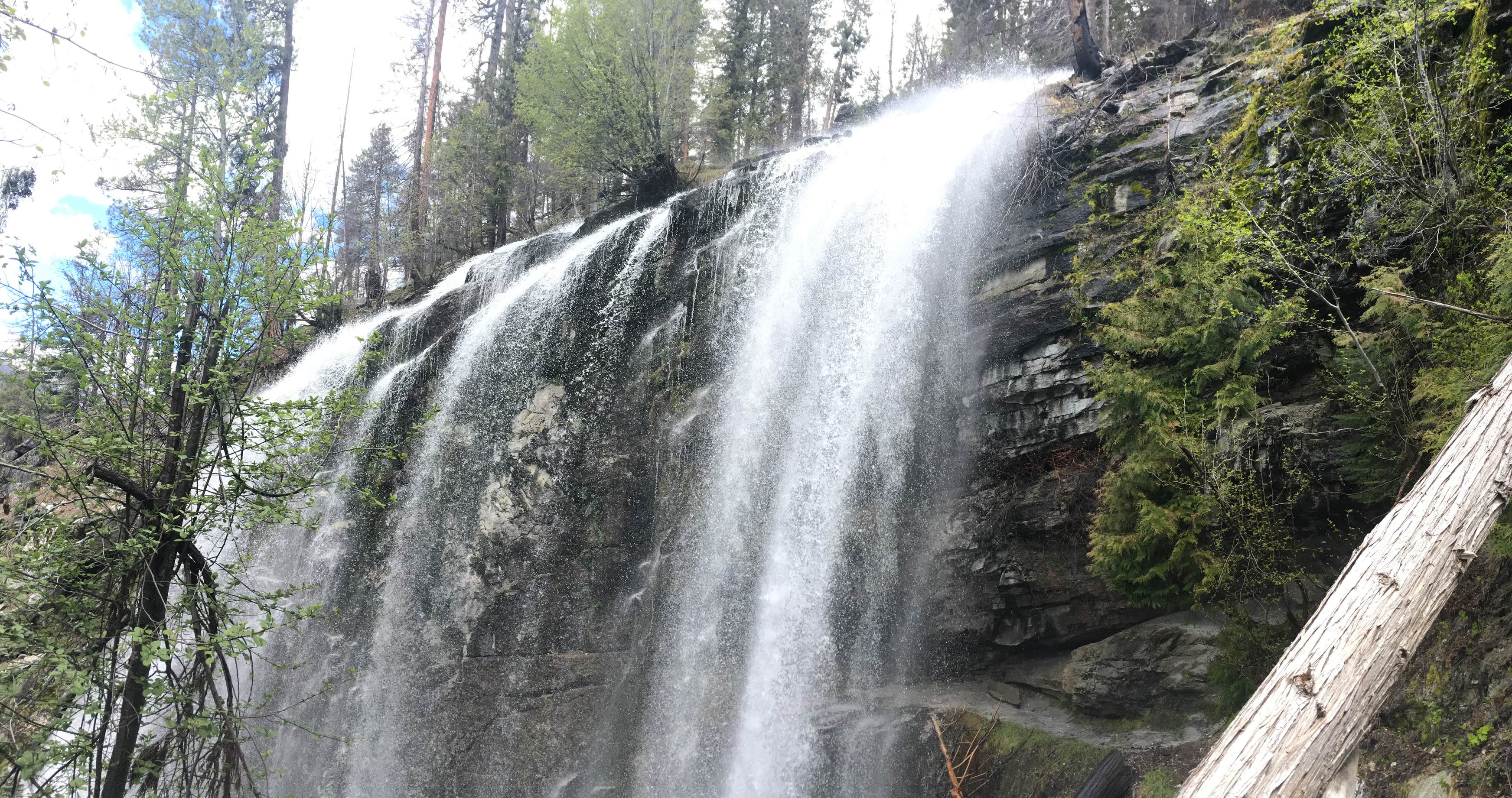 Fox Creek Campground The Dyrt