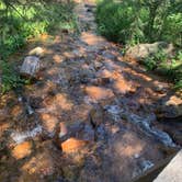 Review photo of Crags Campground by Madeline B., September 2, 2019
