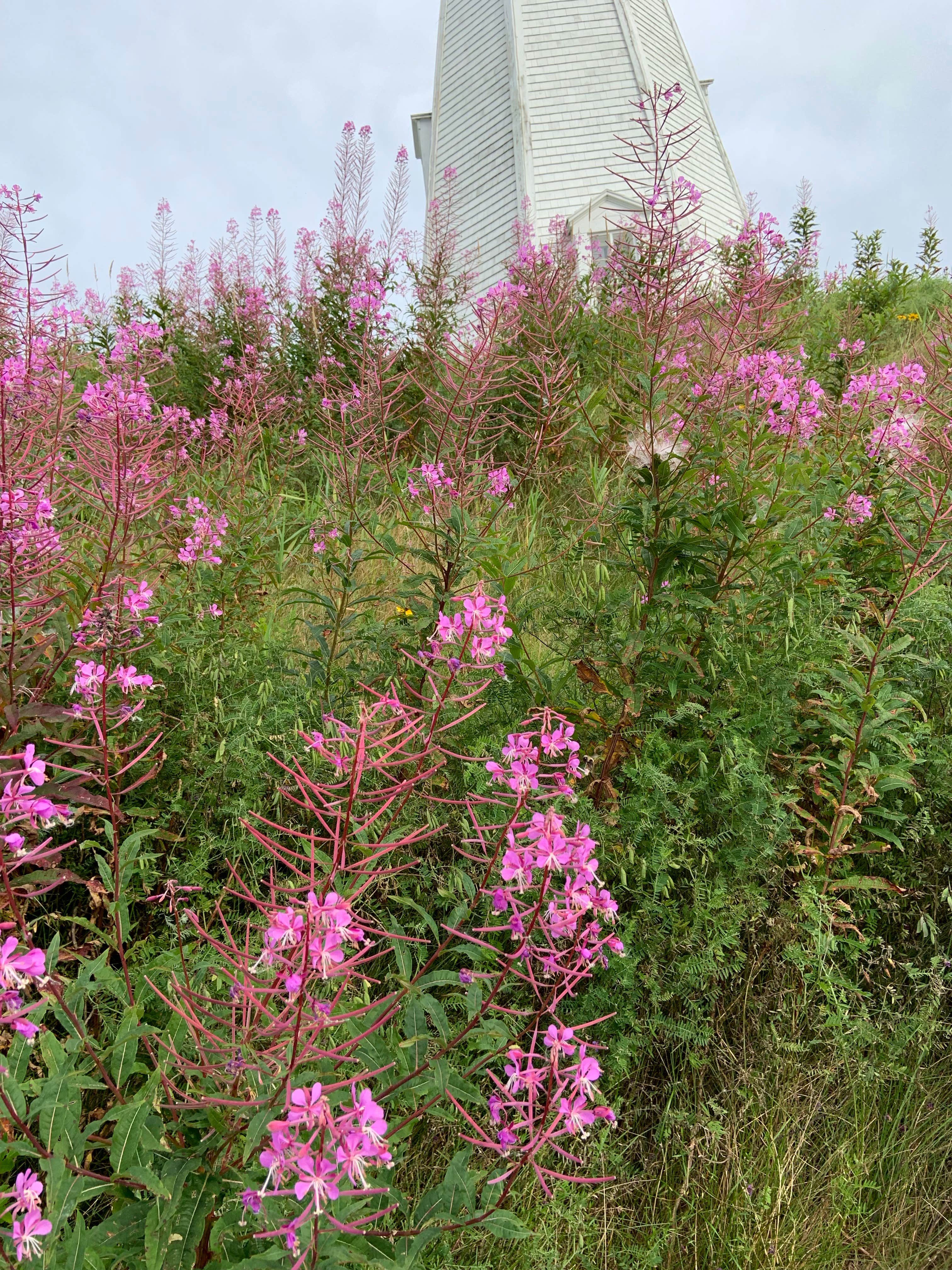 Camper-submitted photo at Sunset Point RV Park near Eastport, ME