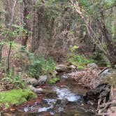 Review photo of Hayden Creek Road by Drew H., September 2, 2019