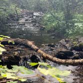 Review photo of Hayden Creek Road by Drew H., September 2, 2019