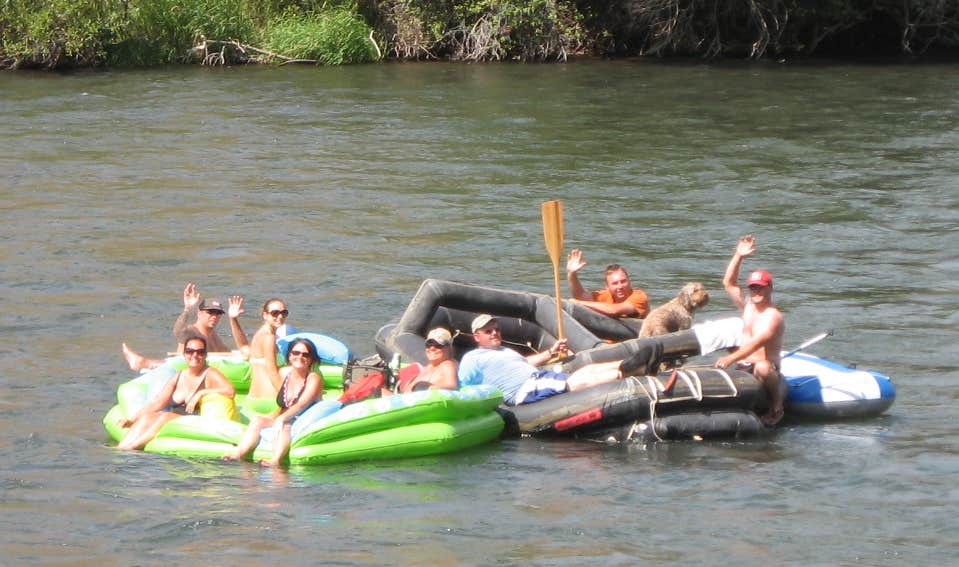 Camper submitted image from Yakima River RV Park - 4