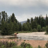 Review photo of Timber Creek Campground — Rocky Mountain National Park by Haley K., September 2, 2019