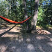 Review photo of Little Wolf Lake State Forest Campground by Kate K., September 2, 2019