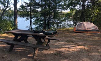 Camping near Big Oaks Equestrian State Campground: Little Wolf Lake State Forest Campground, Lewiston, Michigan