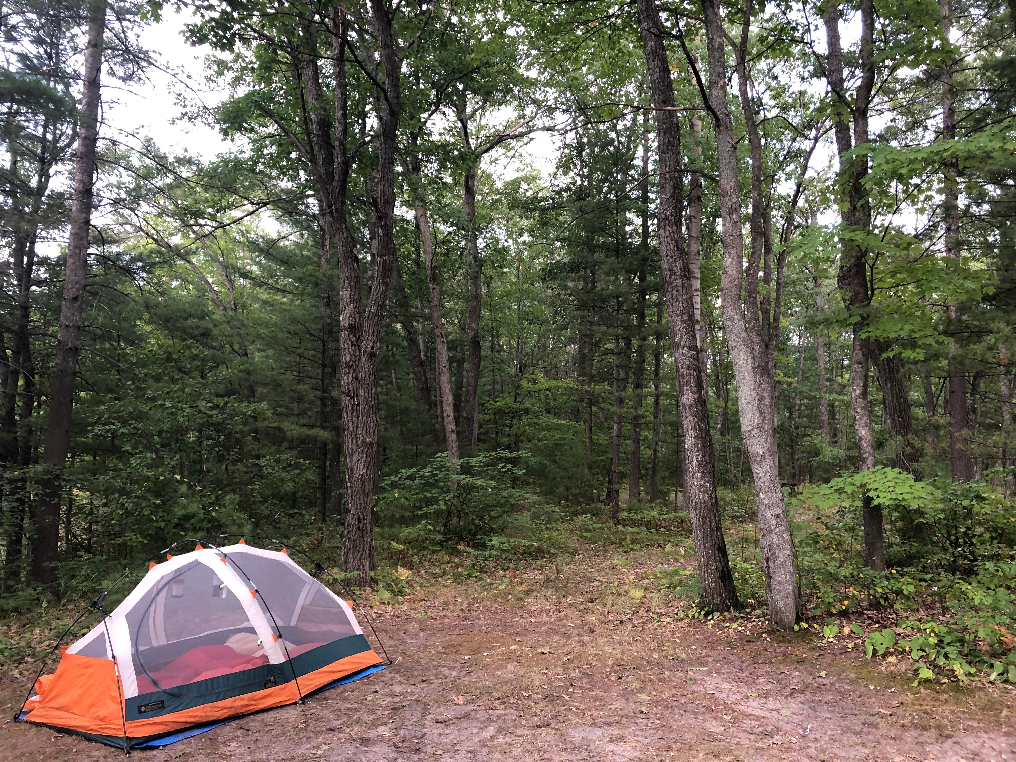 Camper submitted image from Little Wolf Lake State Forest Campground - 2