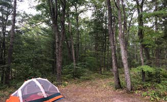 Kate K.'s photo at Little Wolf Lake State Forest Campground near Lewiston, MI