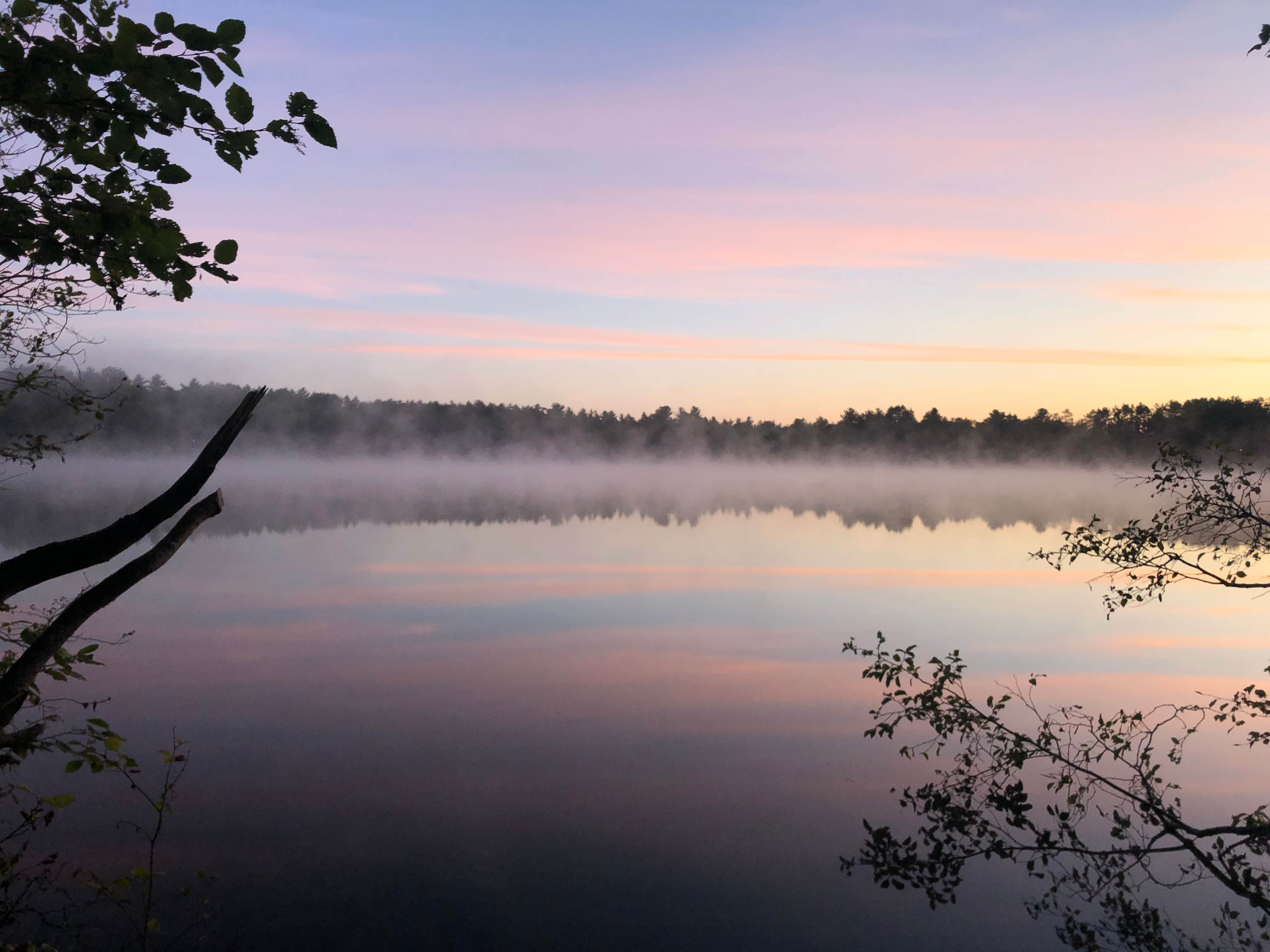 Camper submitted image from Little Wolf Lake State Forest Campground - 5