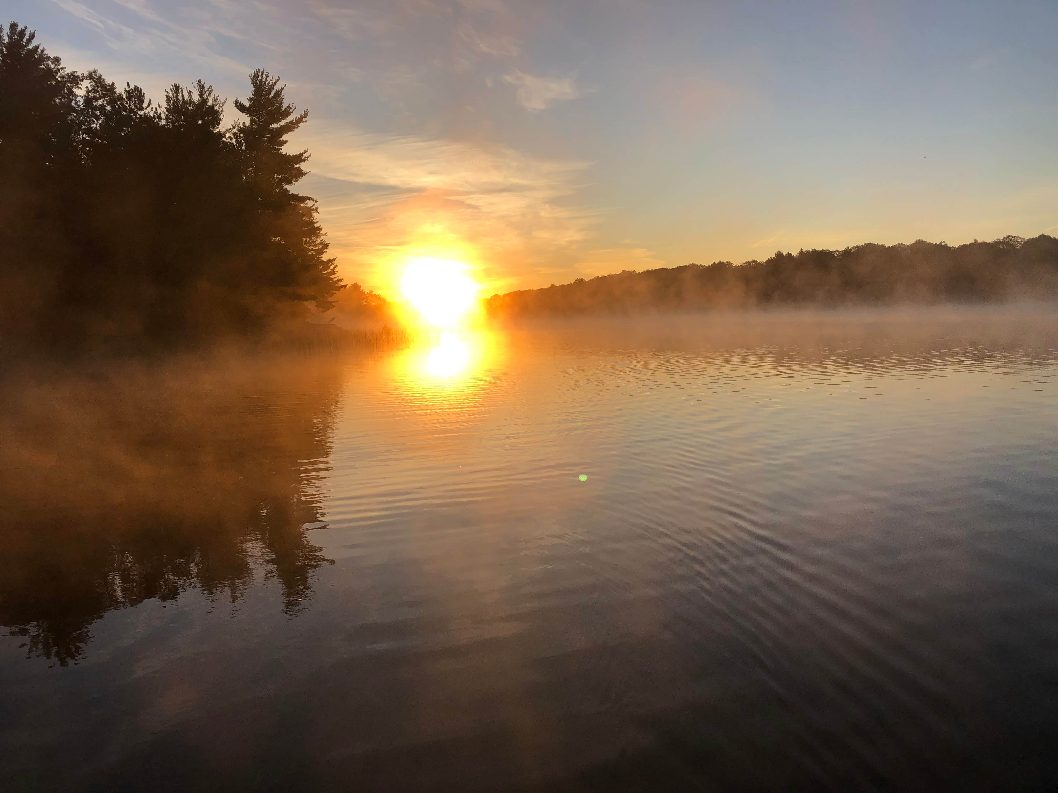 Camper submitted image from Little Wolf Lake State Forest Campground - 3