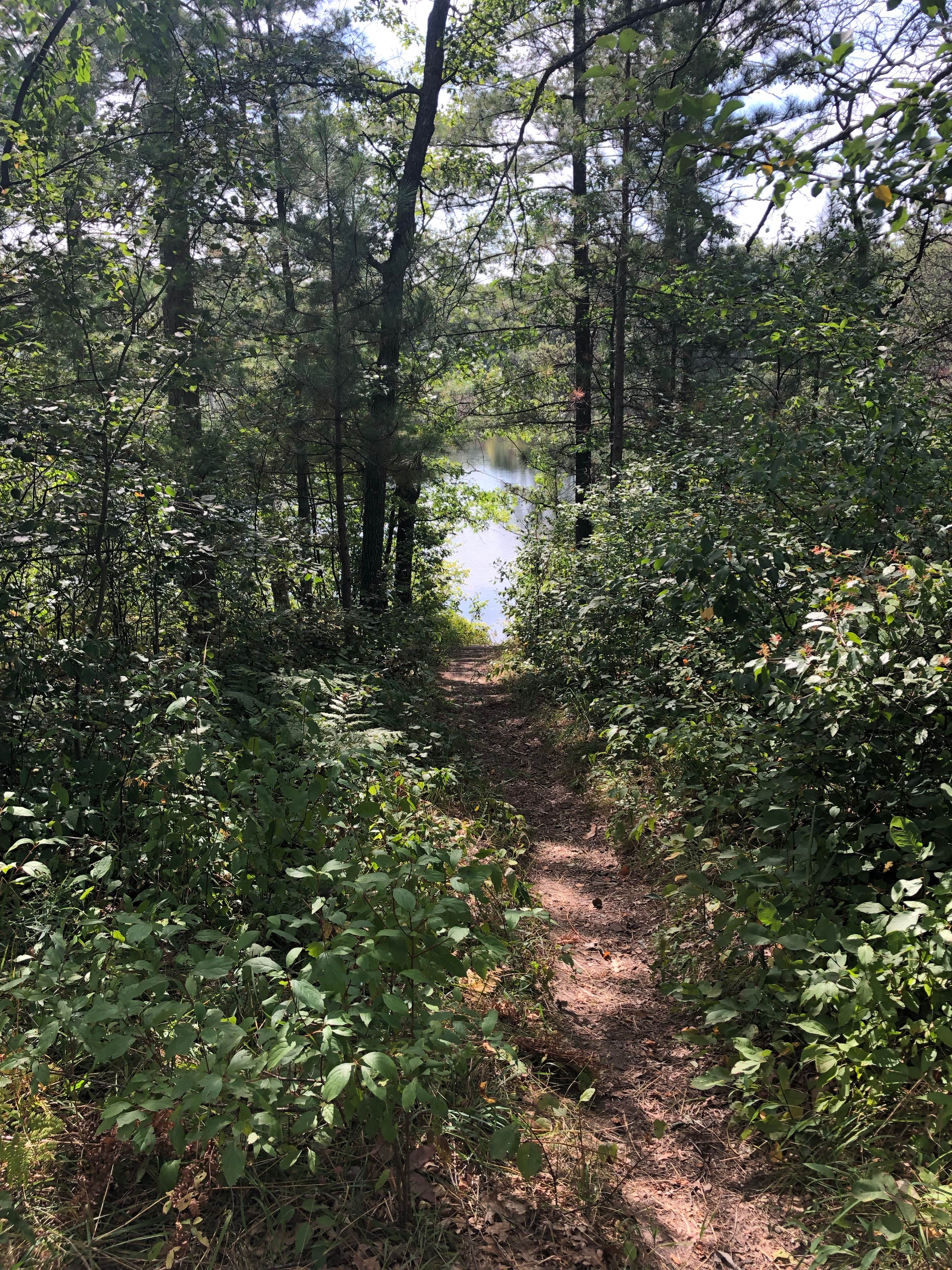Camper-submitted photo at Horseshoe Lake Campground near Curran, MI