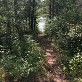 Review photo of Horseshoe Lake Campground by Kate K., September 2, 2019