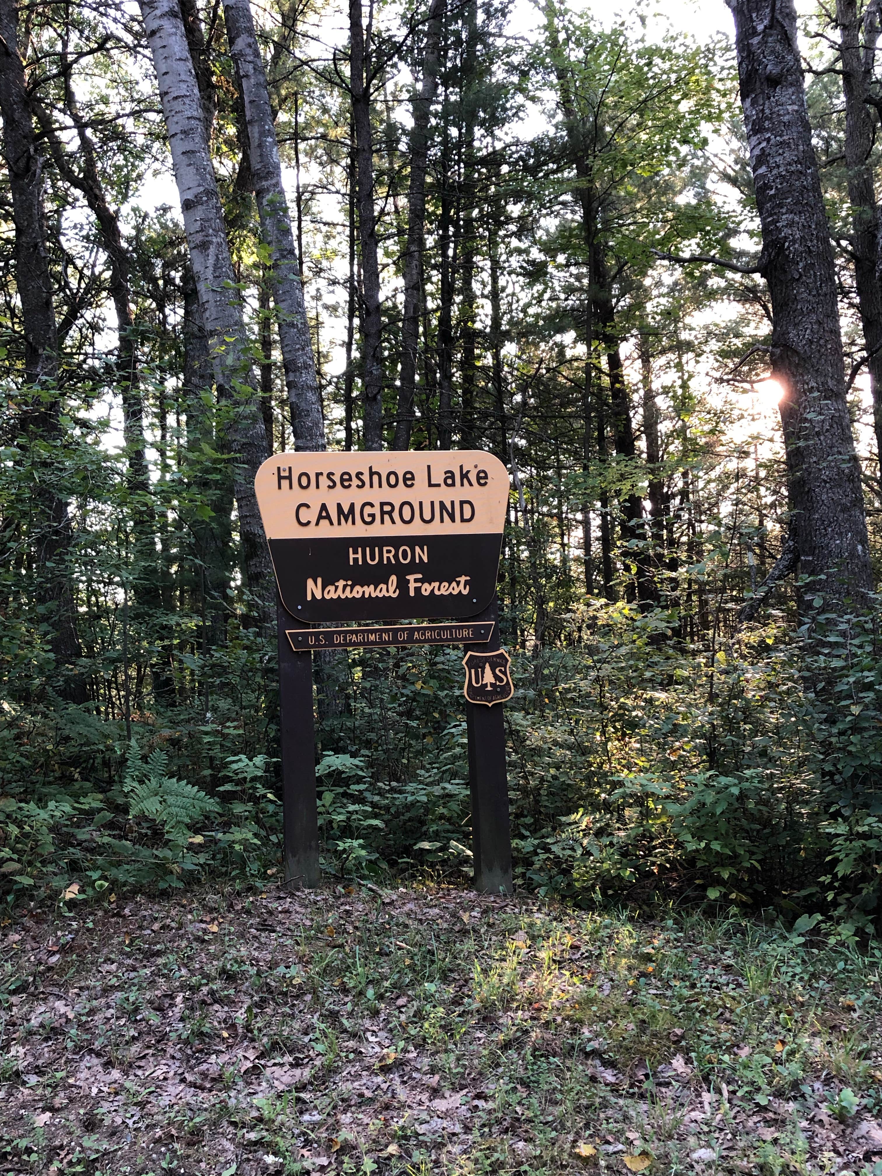 Camper-submitted photo at Horseshoe Lake Campground near Curran, MI