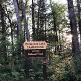 Review photo of Horseshoe Lake Campground by Kate K., September 2, 2019