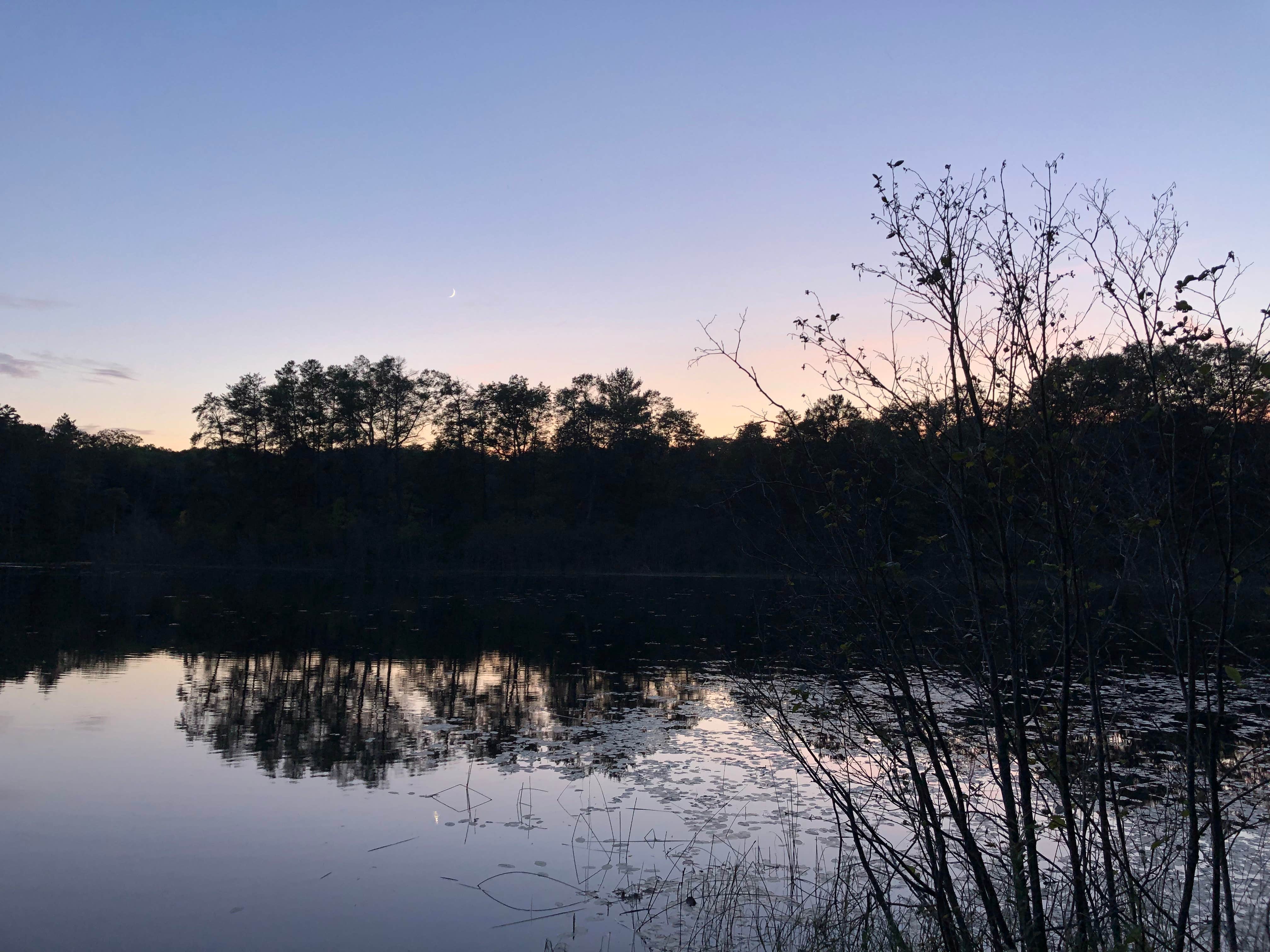 Camping near Pine River Campground: Horseshoe Lake Campground, Glennie, Michigan