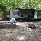 Review photo of Starved Rock Campground — Starved Rock State Park by Kim L., September 2, 2019