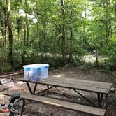 Review photo of Starved Rock Campground — Starved Rock State Park by Kim L., September 2, 2019