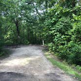 Review photo of Starved Rock Campground — Starved Rock State Park by Kim L., September 2, 2019