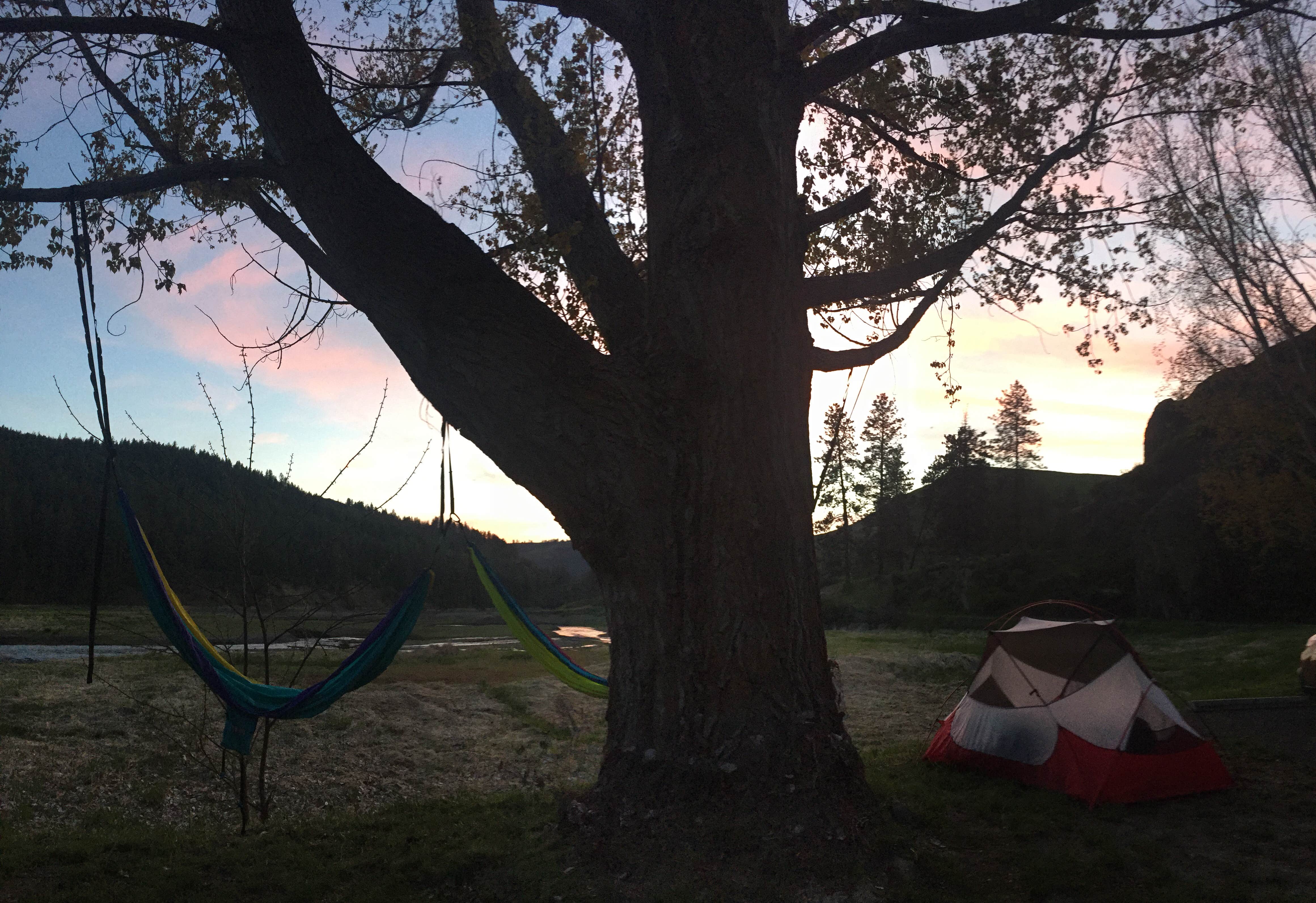 Shaun W.'s photo at Hawk Creek Campground — Lake Roosevelt National Recreation Area near Davenport, WA