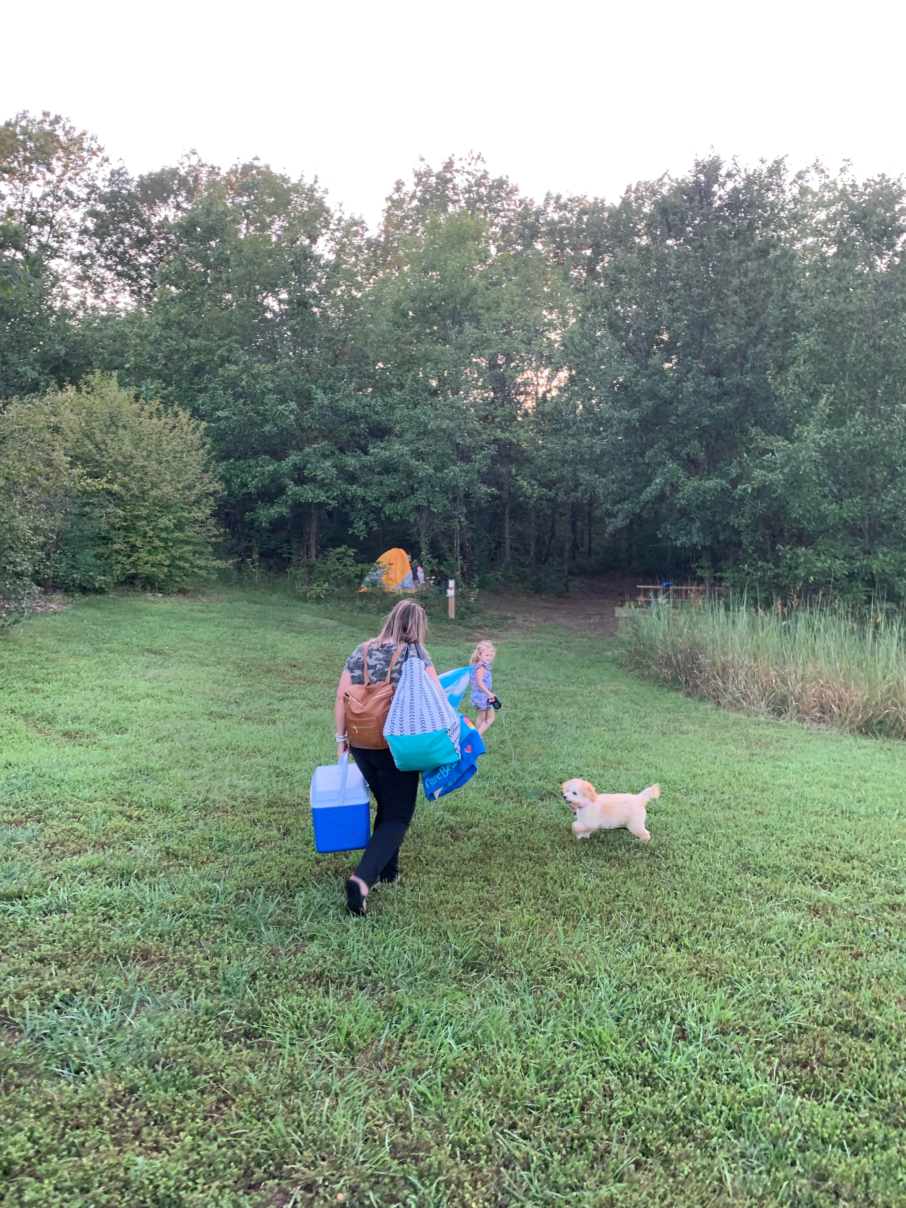 Tony M.'s photo of camping with pets at Indian Creek Campground near Hannibal, MO