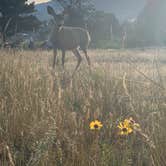 Review photo of Estes Park Campground at Mary's Lake by Denise H., September 2, 2019