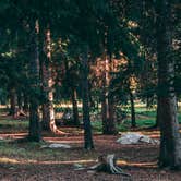 Review photo of West Tensleep Lake by Tony M., September 2, 2019