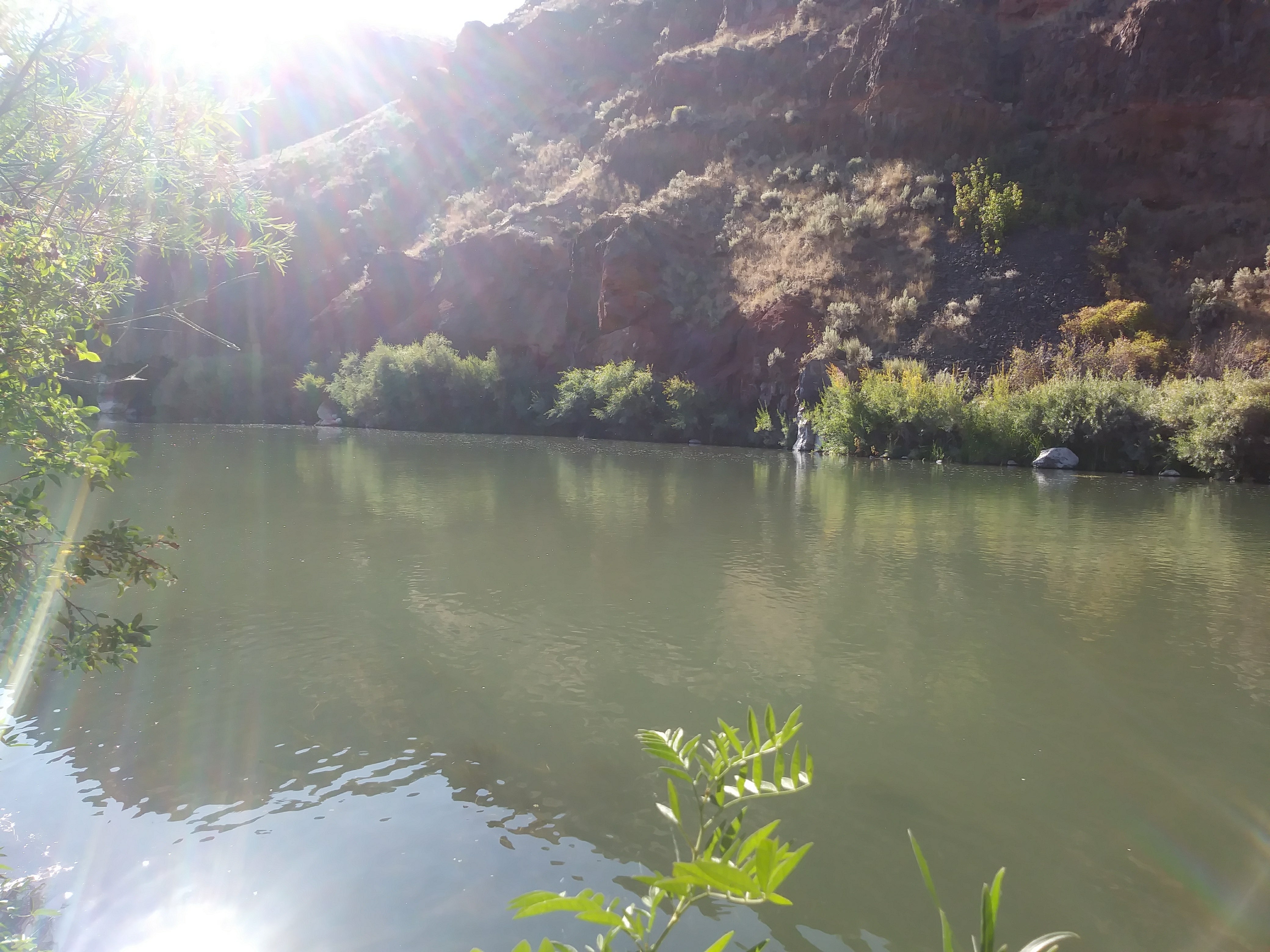 Camper submitted image from Owyhee-Dispersed - 3