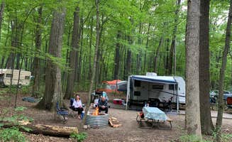David S.'s photo of rv camping at McGinnis Lake Campground — Holly Recreation Area near Holly, MI