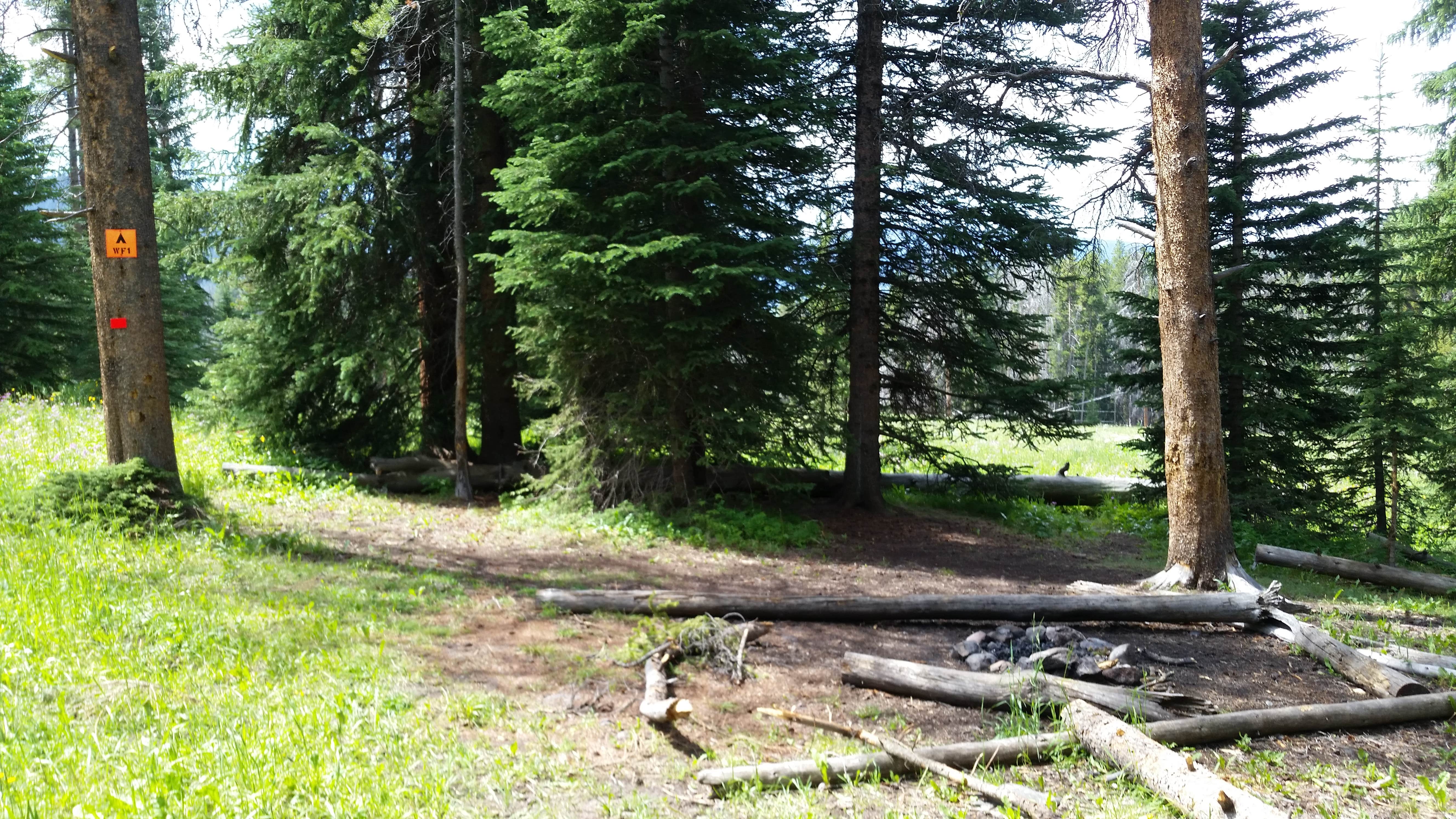 Camper-submitted photo at WF1 Backcountry Campsite — Yellowstone National Park near Custer Gallatin National Forest