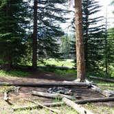 Review photo of WF1 Backcountry Campsite — Yellowstone National Park by Dexter I., September 2, 2019