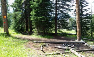 Camping near Heart Lake Cabin — Yellowstone National Park: WF1 Backcountry Campsite — Yellowstone National Park, Custer Gallatin National Forest, Montana