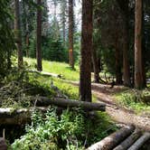 Review photo of WF1 Backcountry Campsite — Yellowstone National Park by Dexter I., September 2, 2019