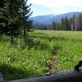 Review photo of WF1 Backcountry Campsite — Yellowstone National Park by Dexter I., September 2, 2019