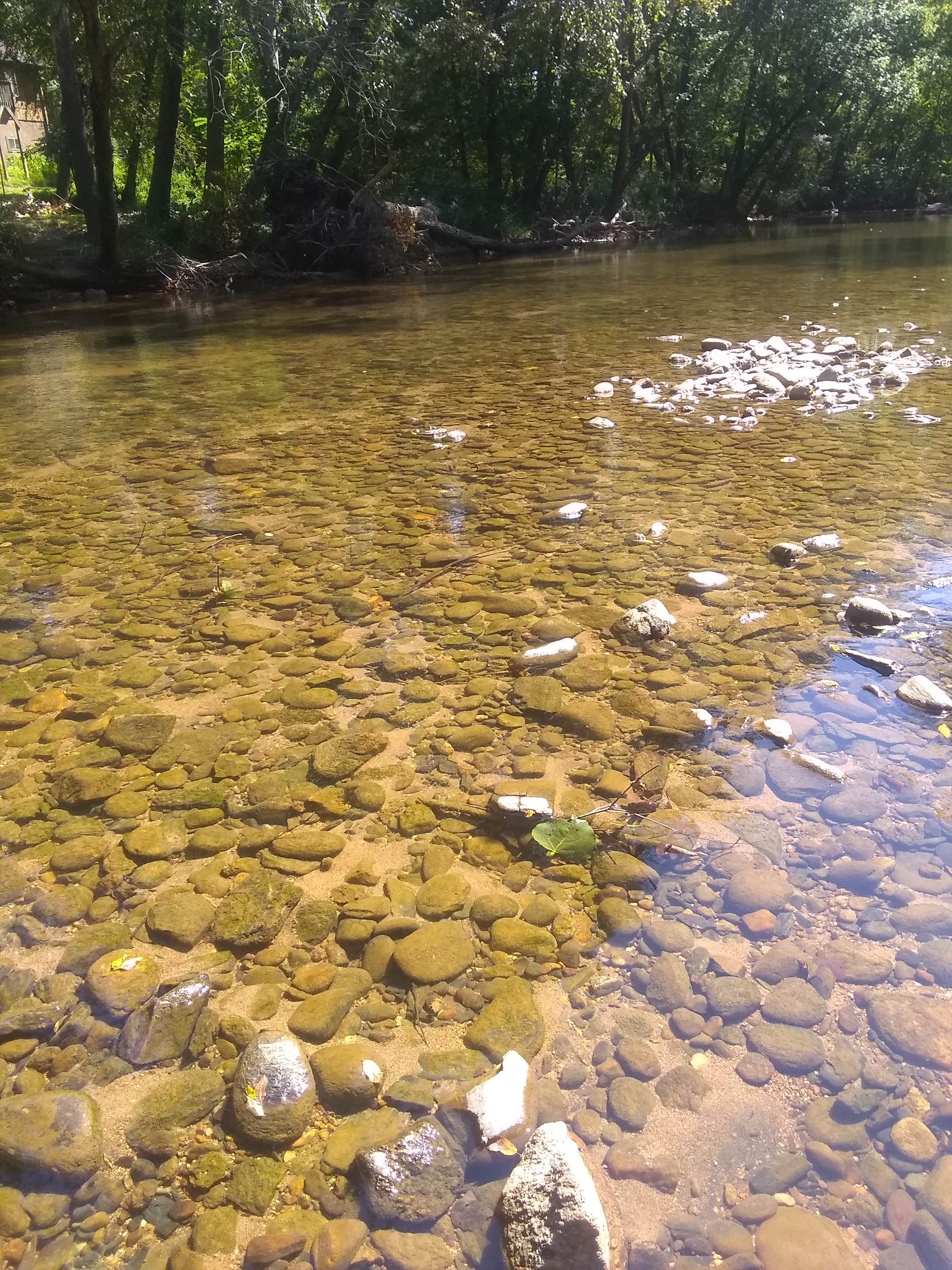 Camper-submitted photo at River Creek Campground near Lake Lure, NC