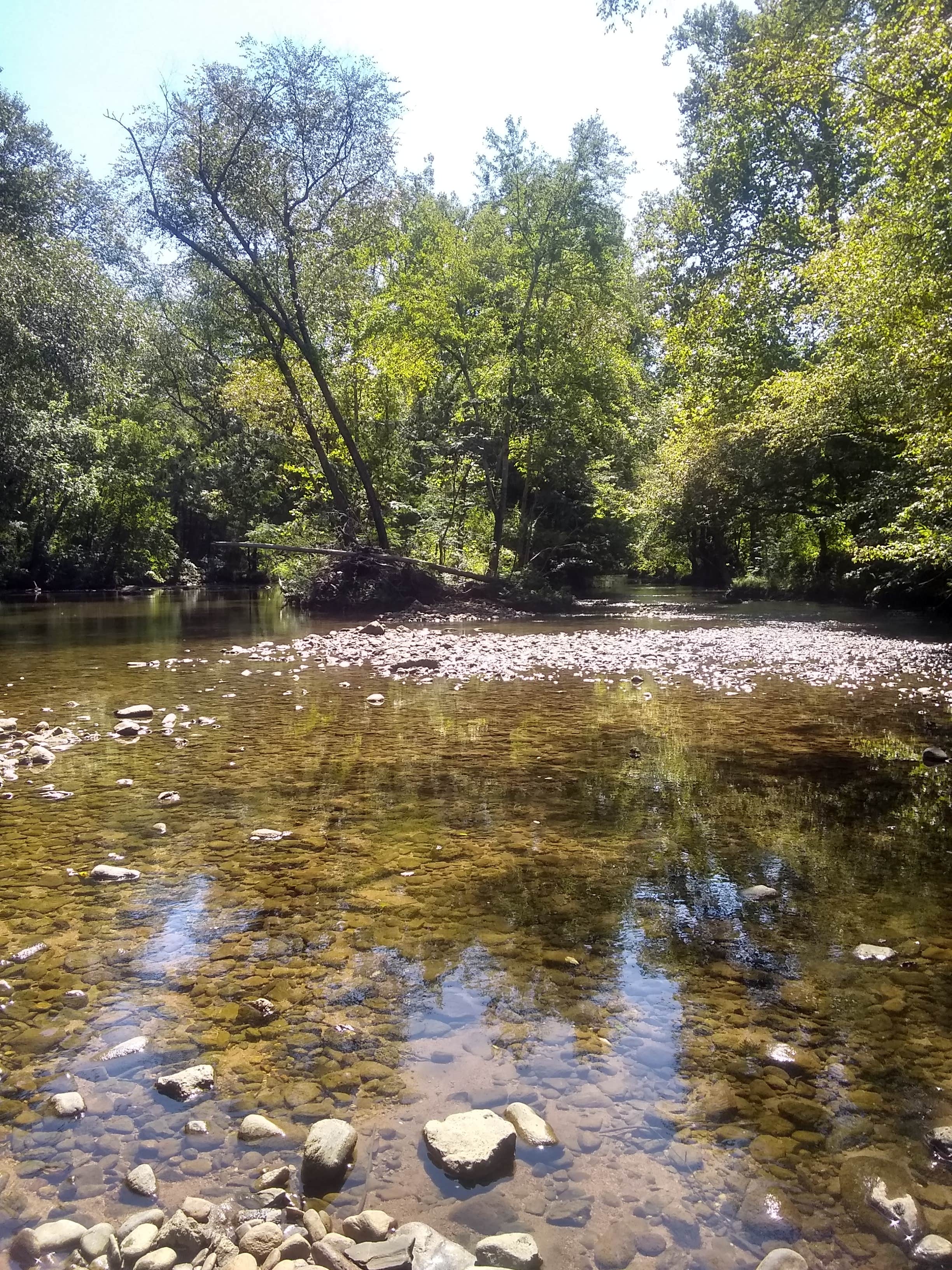 Camper-submitted photo at River Creek Campground near Lake Lure, NC