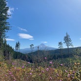 Review photo of Black Lake Campground—Mount Hood National Forest by Ryan D., September 2, 2019