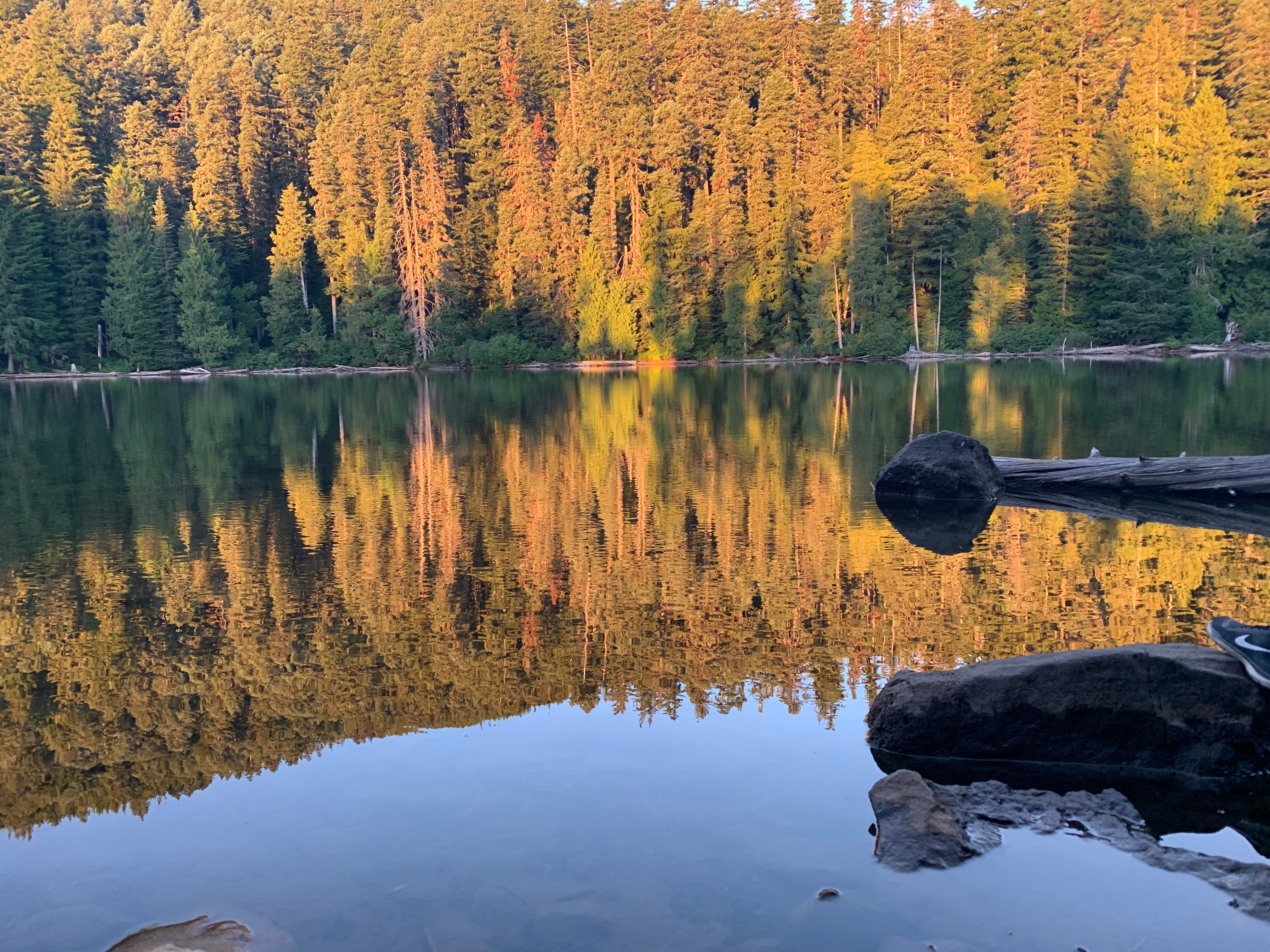 Camper submitted image from Black Lake Campground—Mount Hood National Forest - 3