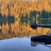 Review photo of Black Lake Campground—Mount Hood National Forest by Ryan D., September 2, 2019