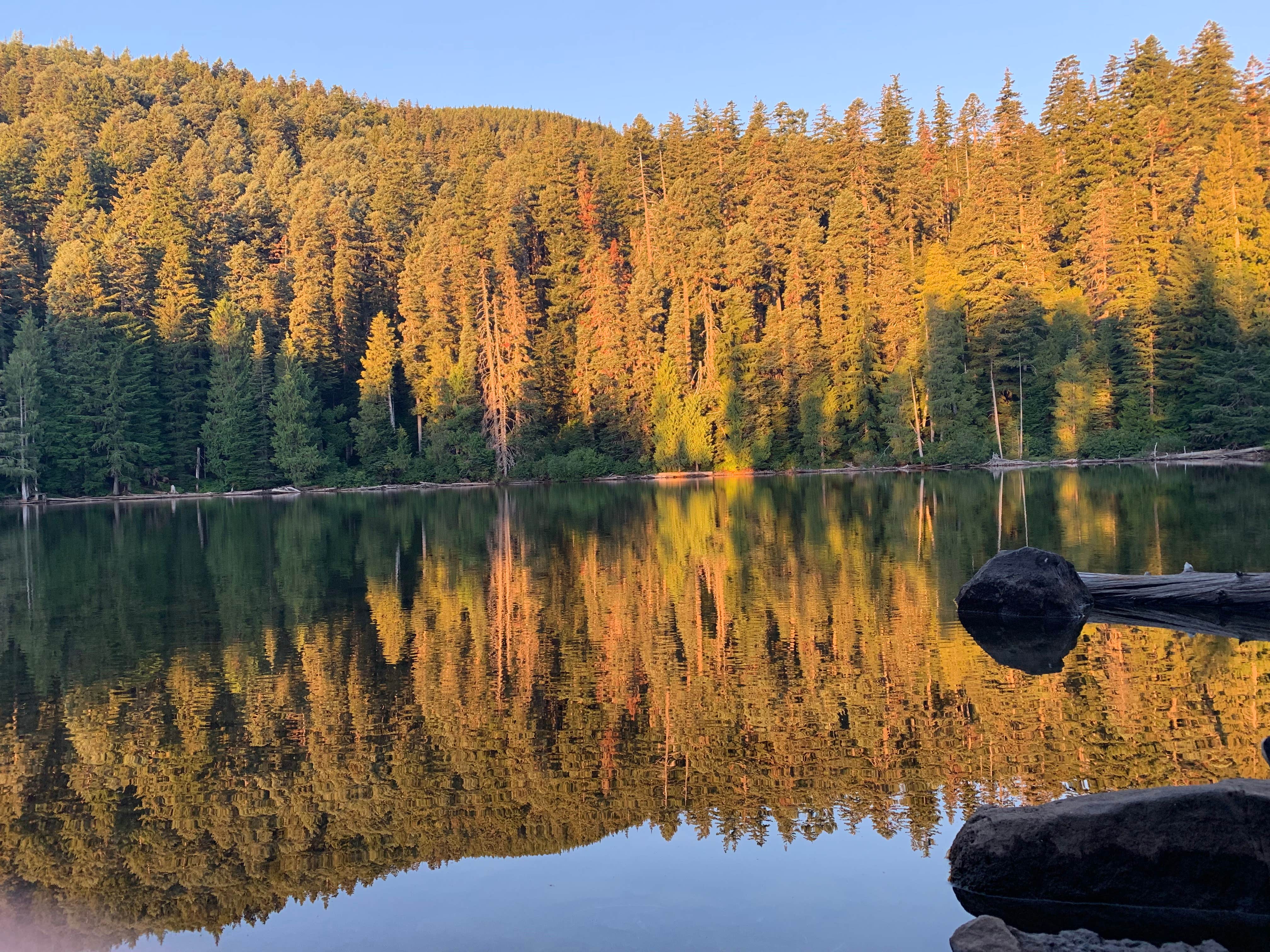 Camper submitted image from Black Lake Campground—Mount Hood National Forest - 1