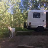 Review photo of Cold Springs - Arapaho Roosevelt Nf (CO) by Kristin A., September 2, 2019