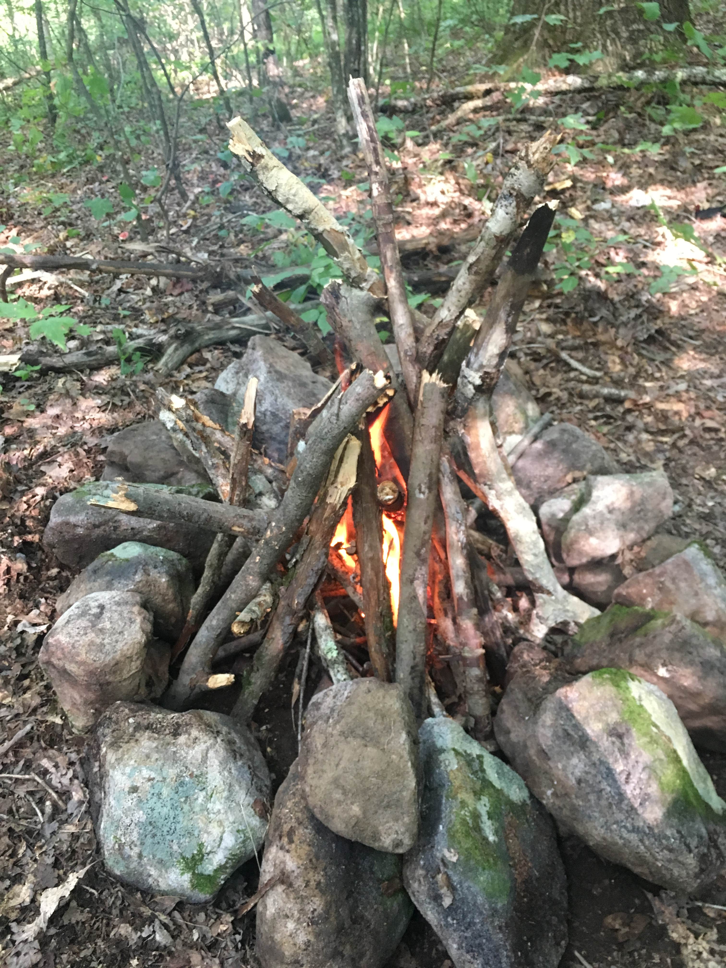Camping near Hawk Campground: Elizabeth Furnace Family Campground, Strasburg, Virginia