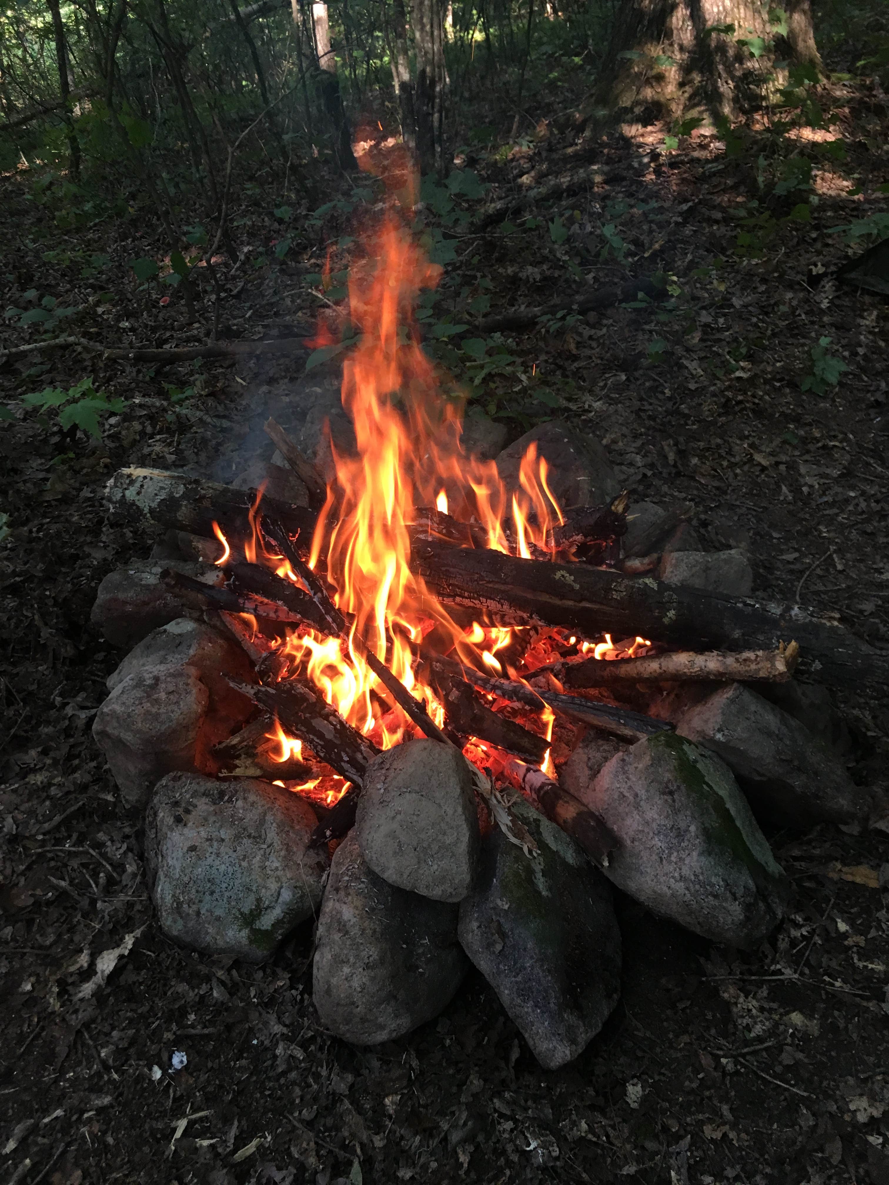 Camper submitted image from Elizabeth Furnace Family Campground - 3